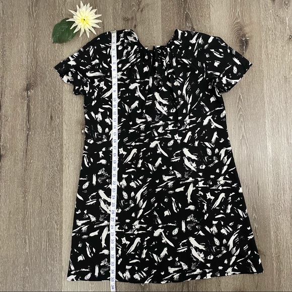 Lark & Ro Black & White Shortsleeved Shift Dress - Picture 11 of 14